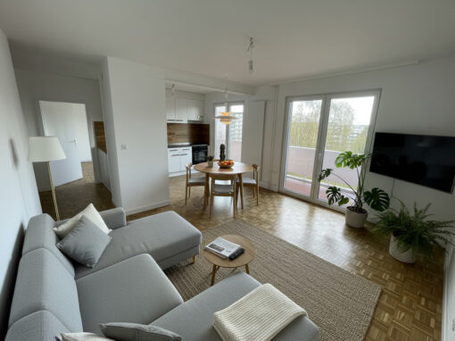 Rénovation appartement – Fribourg